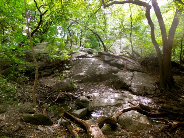The Rambles, Central Park