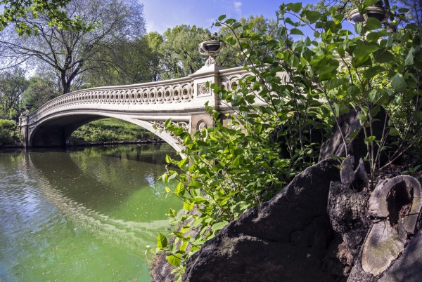 New York Central Park bow bridge