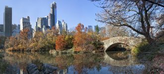 What To Do in Central Park: A Walking Tour