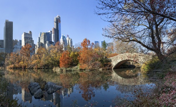 A Stroll Through Central Park in NYC