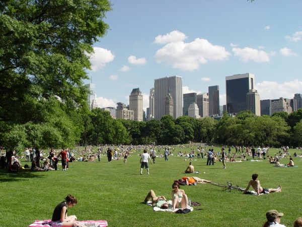 central park sheep meadow credit maureen plainfield