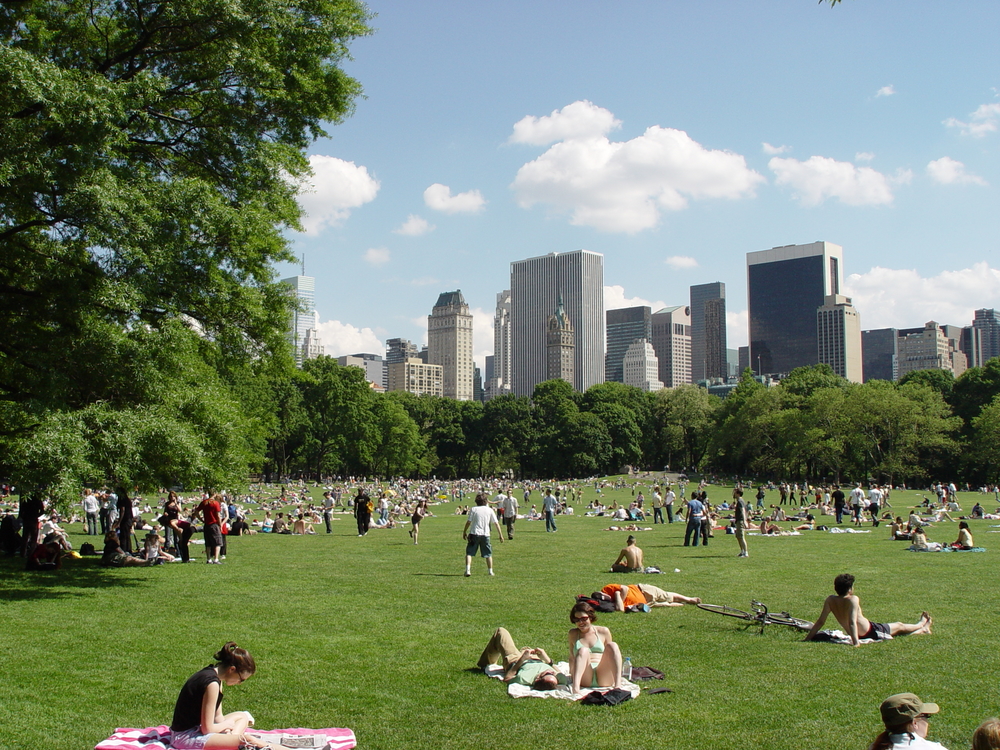 Several people lie on a grassy lawn in Central Park, New York City, with skyscrapers and trees surrounding the peaceful scene.