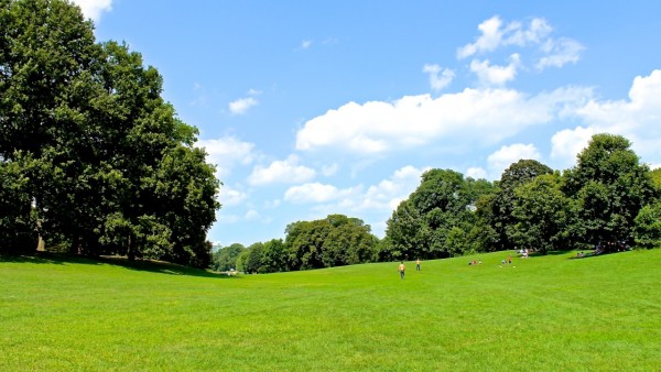 Long Meadow, Prospect Park, NYC