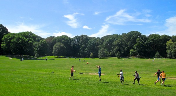 Long Meadow, Prospect Park, NYC