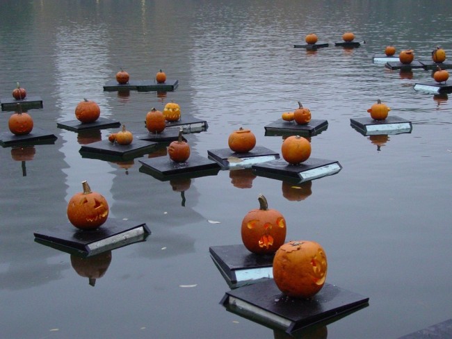Several carved jack-o-lantern pumpkins float on black platforms in a calm lake in New York City’s Central Park.