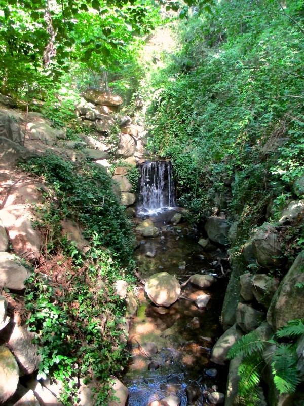 Ravine, Prospect Park, NYC