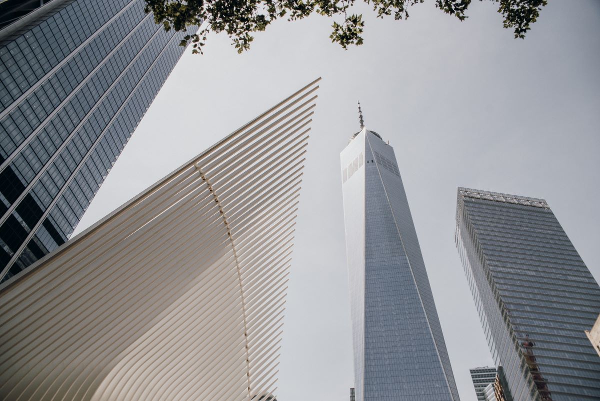 Several skyscrapers, including One World Trade Center in New York City, tower against a clear sky with leafy tree branches overhead.