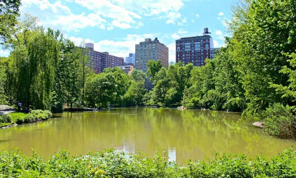 Pool, Central Park, NYC