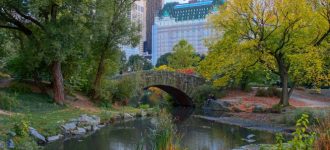 Autumn in New York: A Guide to Fall Fun in NYC