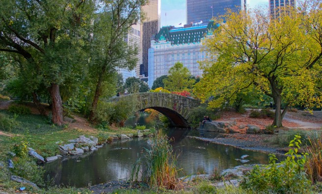 Pond in Central Park, NYC