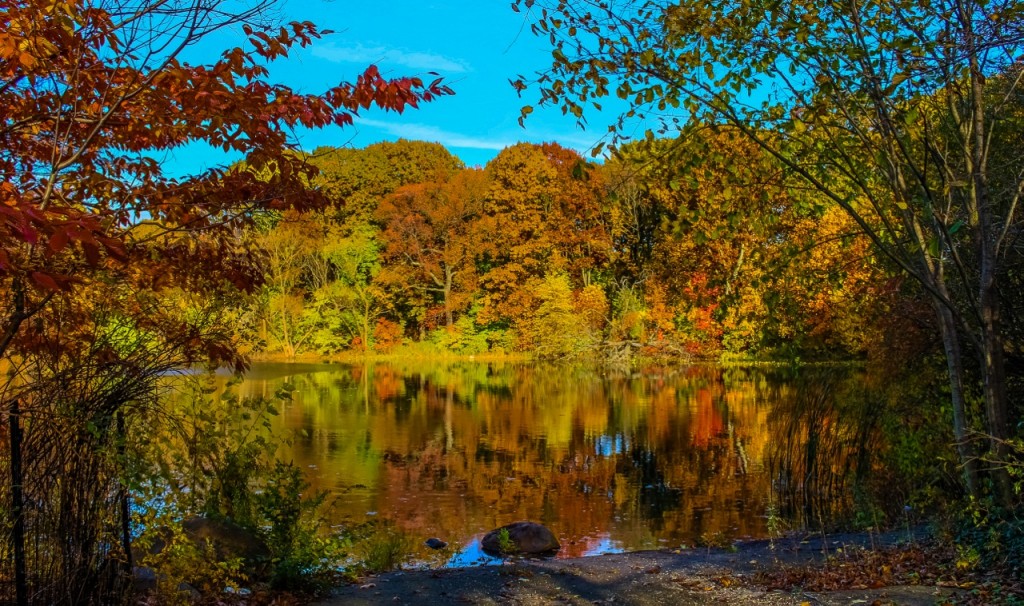 A calm lake in New York reflects vibrant red, orange, and yellow autumn trees beneath a clear blue sky.