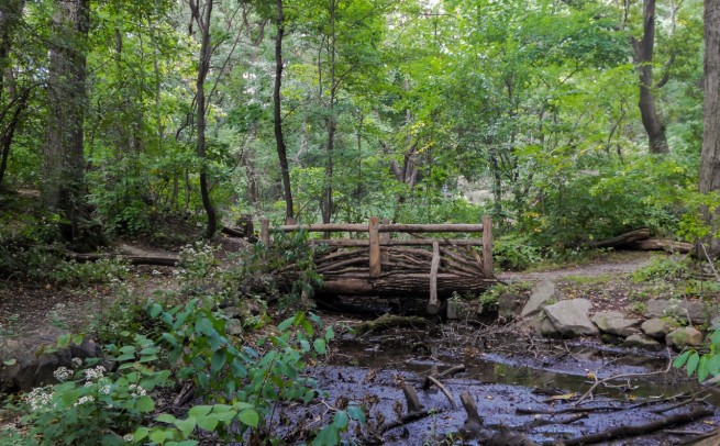 The Ramble, Central Park