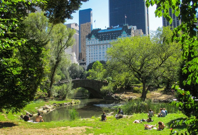 Central Park Pond
