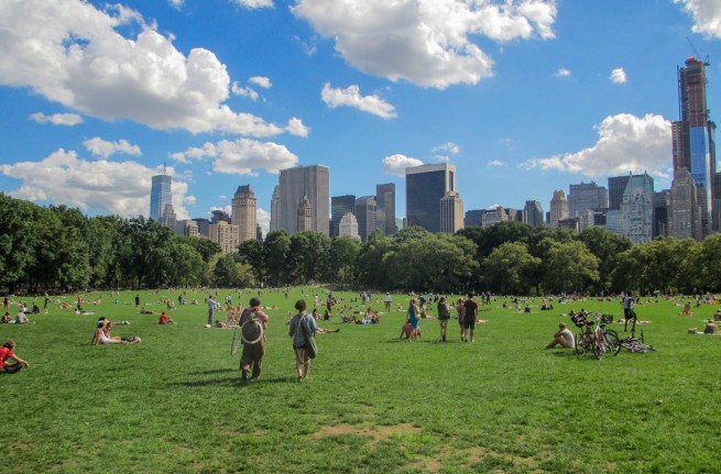 Central Park Sheep Meadow