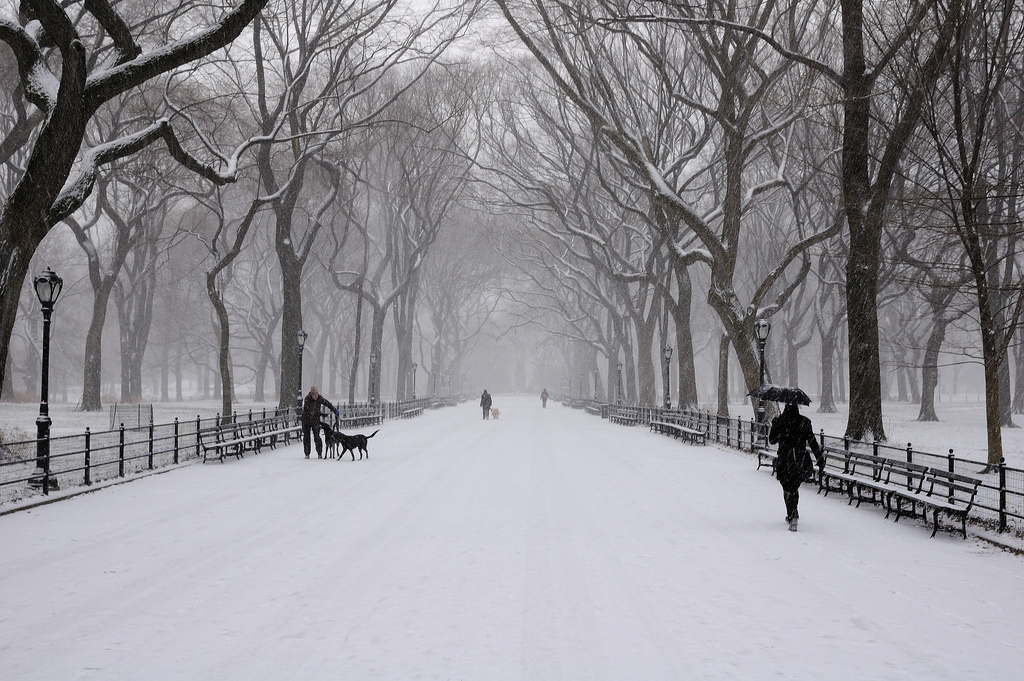 Central park in the snow by Ralph Hockens | https://www.flickr.com/photos/rhockens/3200798292/in/photolist-5SQVPs-bgqpvK-7CbBuE-qELYRV-7EEX4r-bgqqzB-mSFito-bgqu3v-bgquLn-bgqpR2-7EJKCY-5T8Wzh-dTUCzo-7EJNoU-qsLtRc-7EJHdy-dX4QJW-aT2mnr-7Da47t-dXLPZm-9aQWPx-9aTSM5-jJMDeh-9aU8Bf-e2zWhT-9aQTtn-kbSA5X-qb9iCt-7HqMoQ-9fNsAx-7AWTH5-bWCHg7-93RQ3t-7CaZjJ-9aR4it-bhpufk-9aUeRd-9bgWPS-99nWWZ-4nQfdc-9aU3EW-5zJBYo-9aR62c-qgkdxj-9aR2Xc-dU6T7f-bWCEXu-7AZDME-6dJ47k-cPmT79