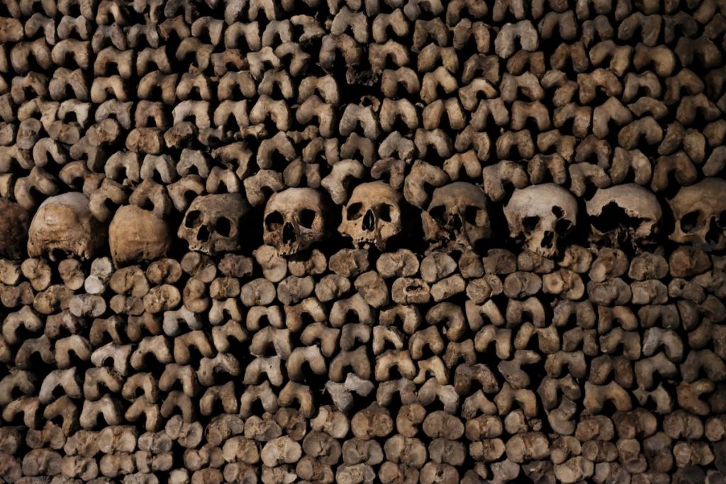 piles of skulls and bones at Paris catacombs 