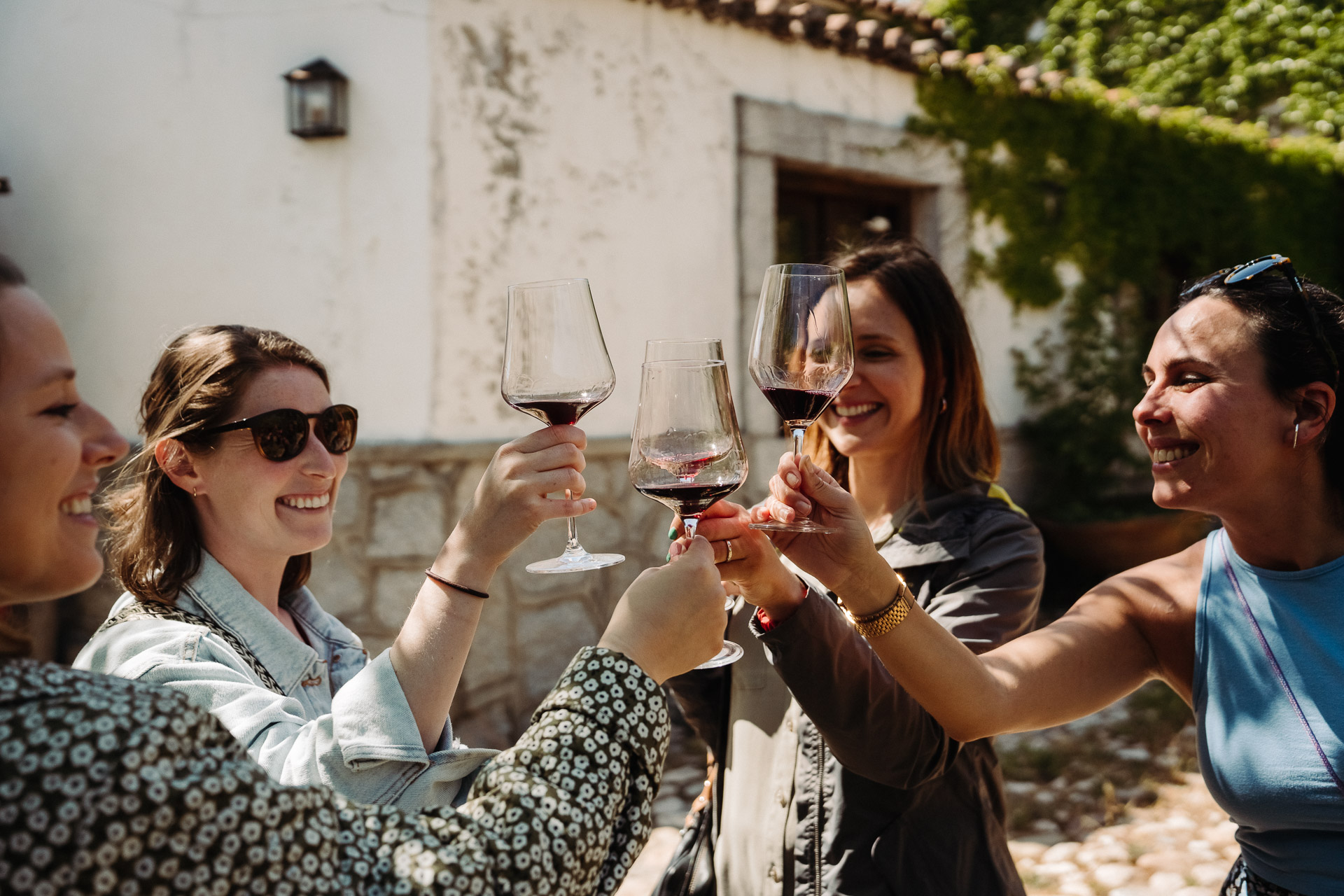 Guests raise their wine glasses for a toast on our Toledo winery tour