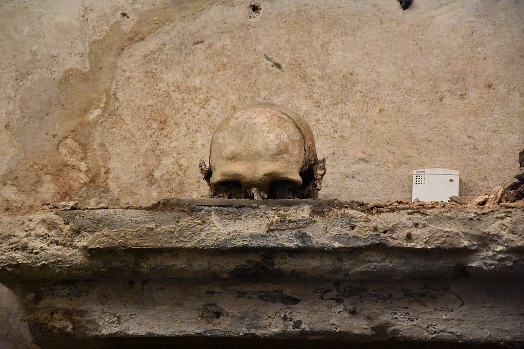 An old skull with ears sits on a ledge at the Naples church of Santa Luciella a San Biagio dei Librai.
