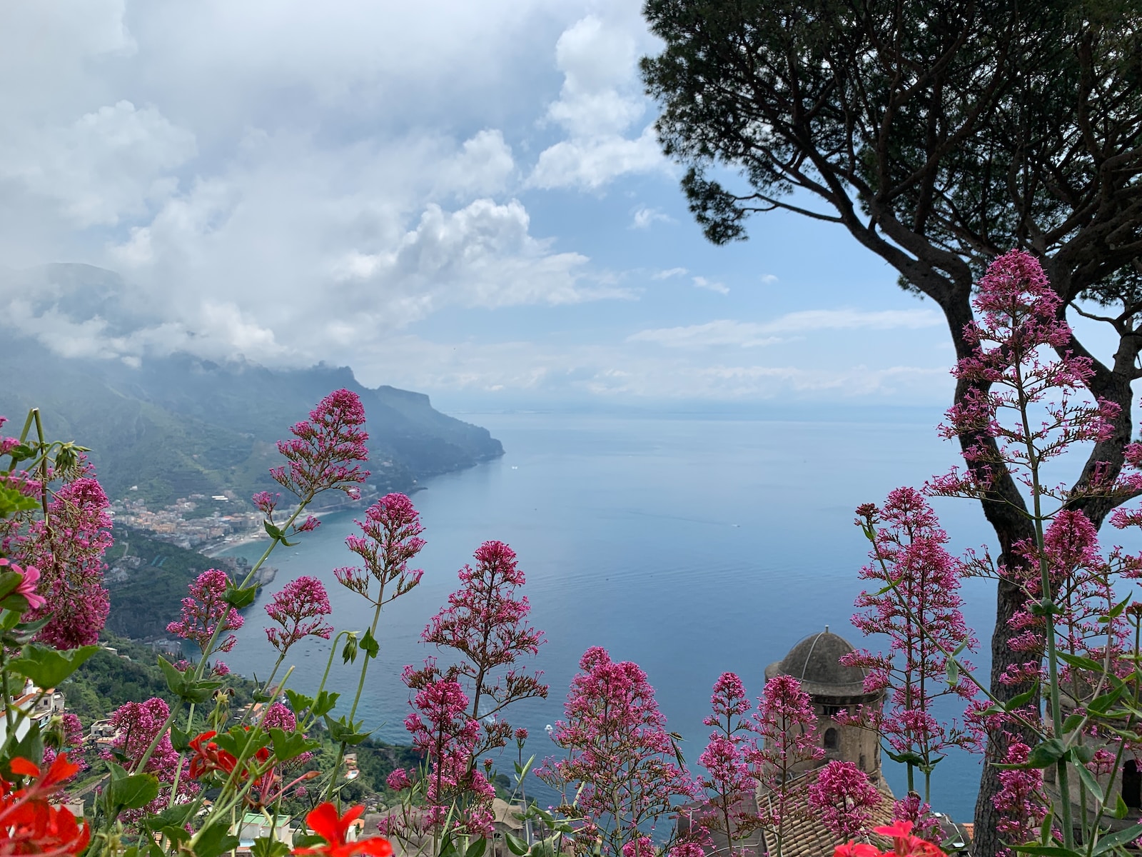 green trees beside pink petaled flower field during daytime on the Amalfi Coast in Ravello