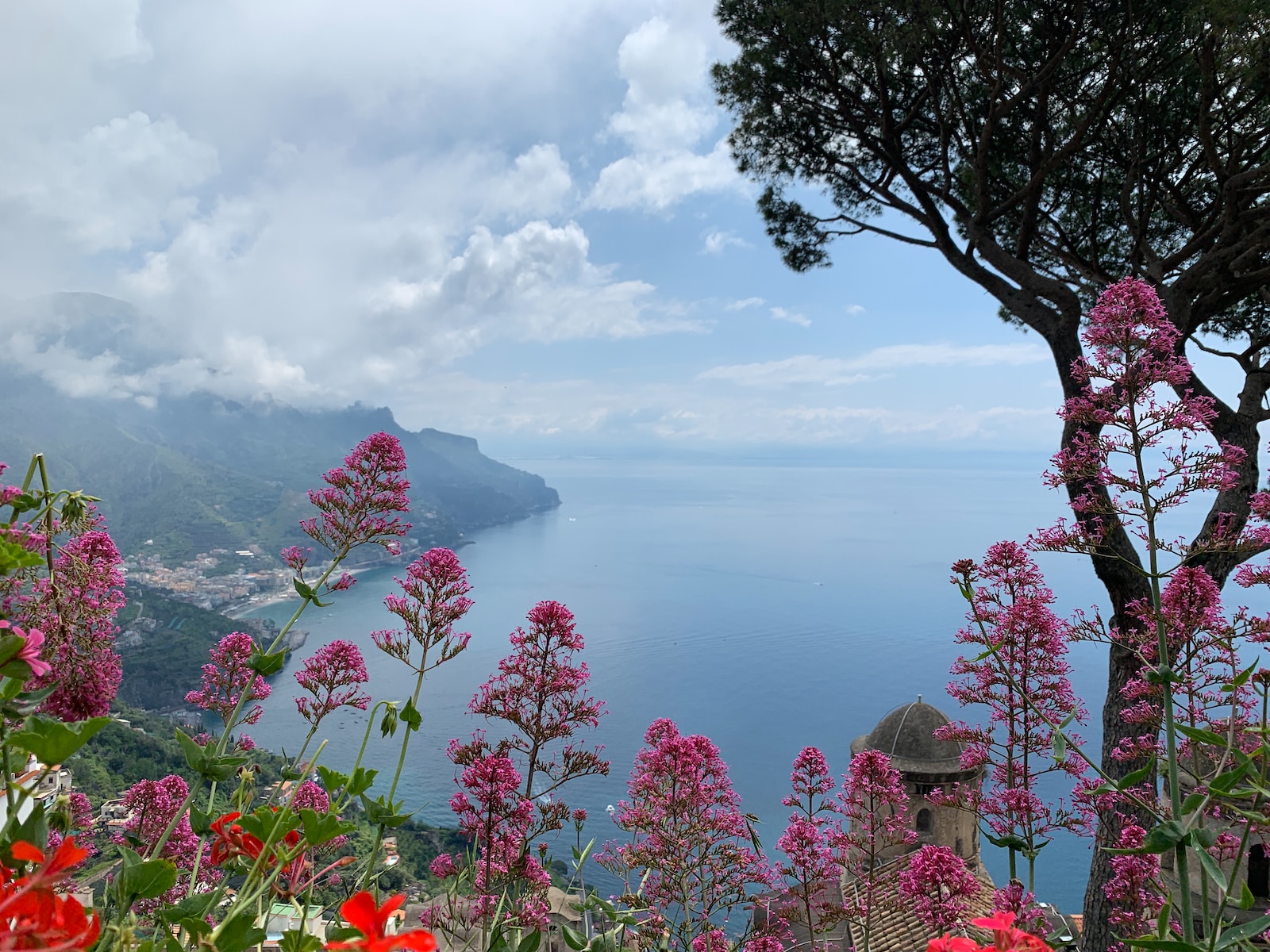 Photo by Ilenia F. green trees beside pink petaled flower field during daytime on the Amalfi Coast in Ravello