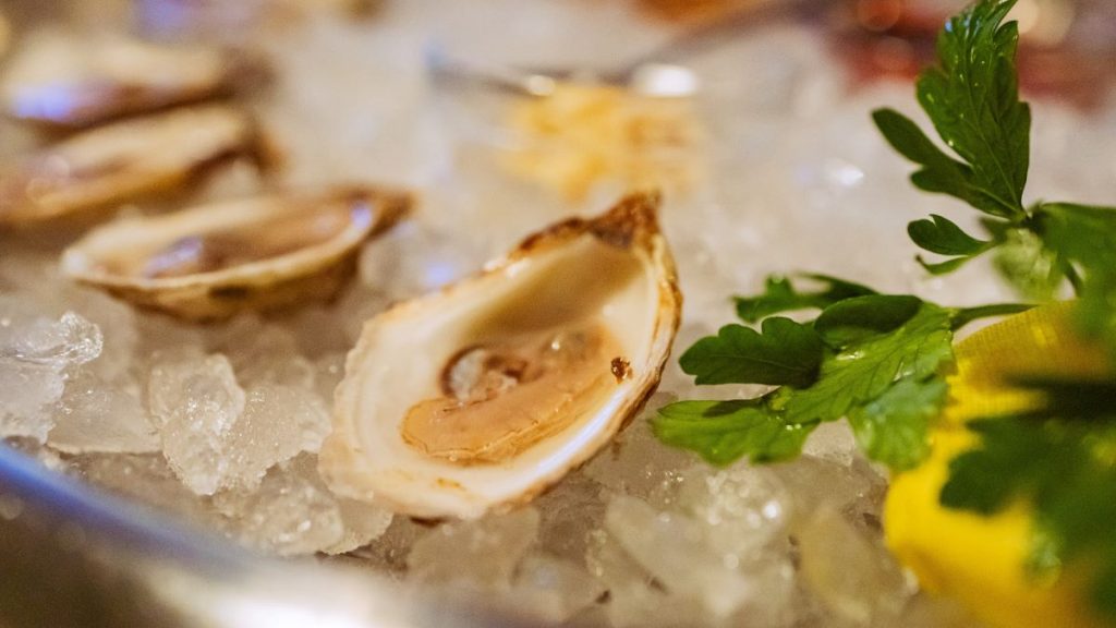 Oysters on ice, with a garnsih and lemon wedge on the side