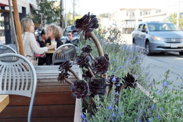 Closeup of a parklet where there is a garden and people enjoying coffee in the background.
