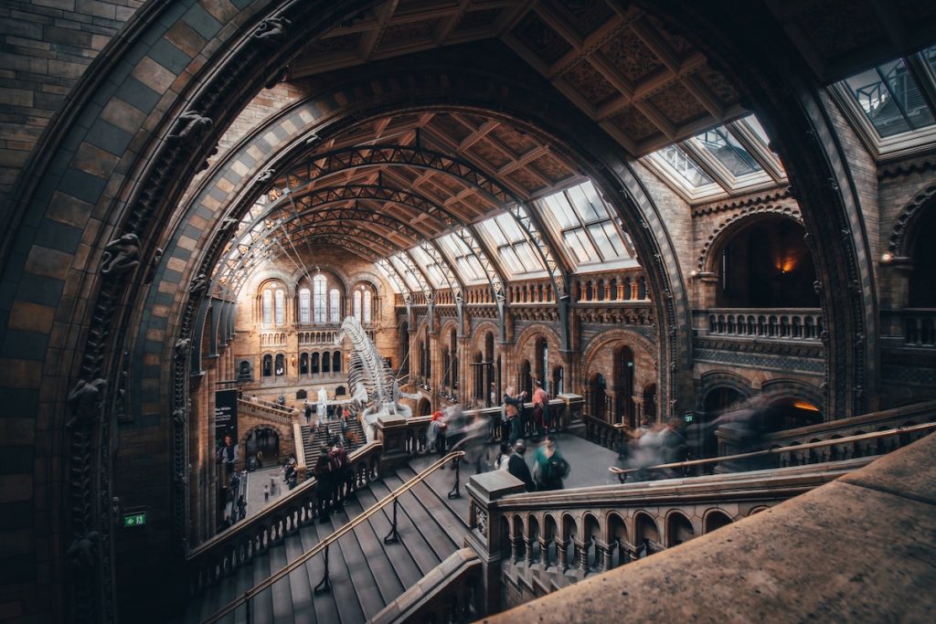Main hall of The Natural History Museum in London