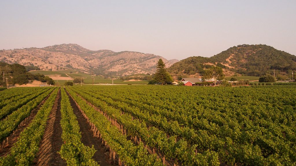 napa wine tours from sonoma