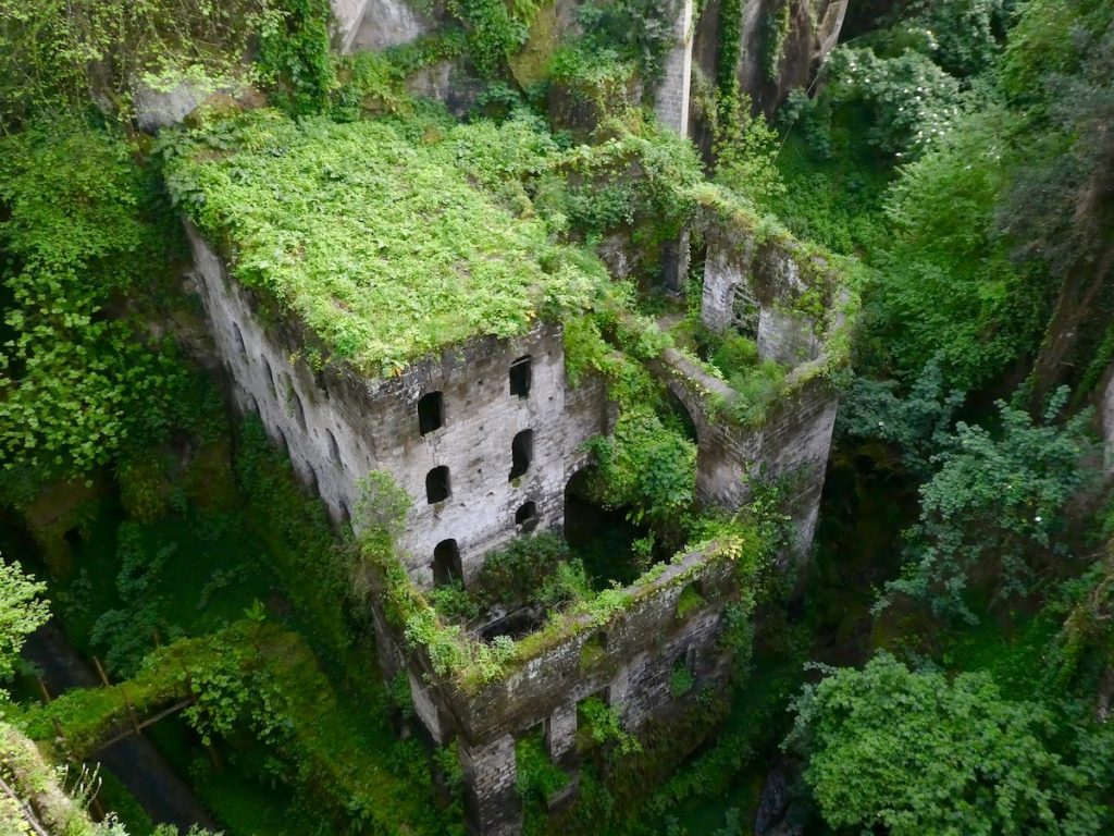 wooded area with castle like structure in the middle