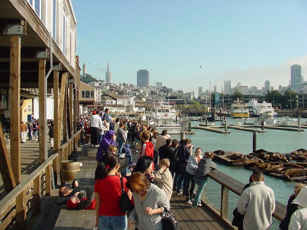 A group of people watch sea lions lounging on floating docks at San Francisco’s Pier 39, with boats and city skyline.