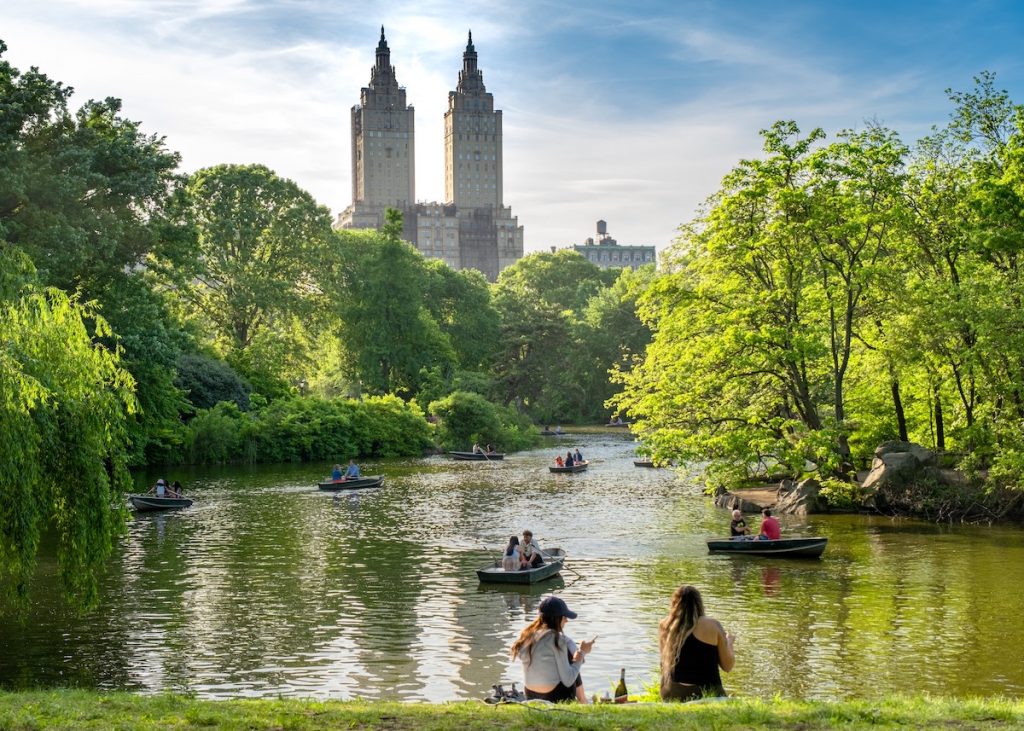 People relax on Central Park’s grassy lawn as rowboats glide across the pond, with skyscrapers and green trees in the background.