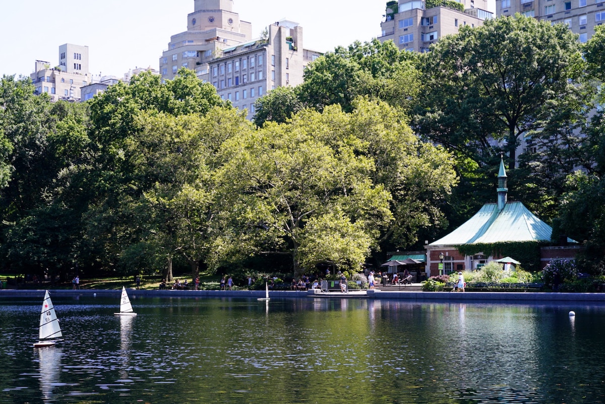 Boat Pond in Central Park