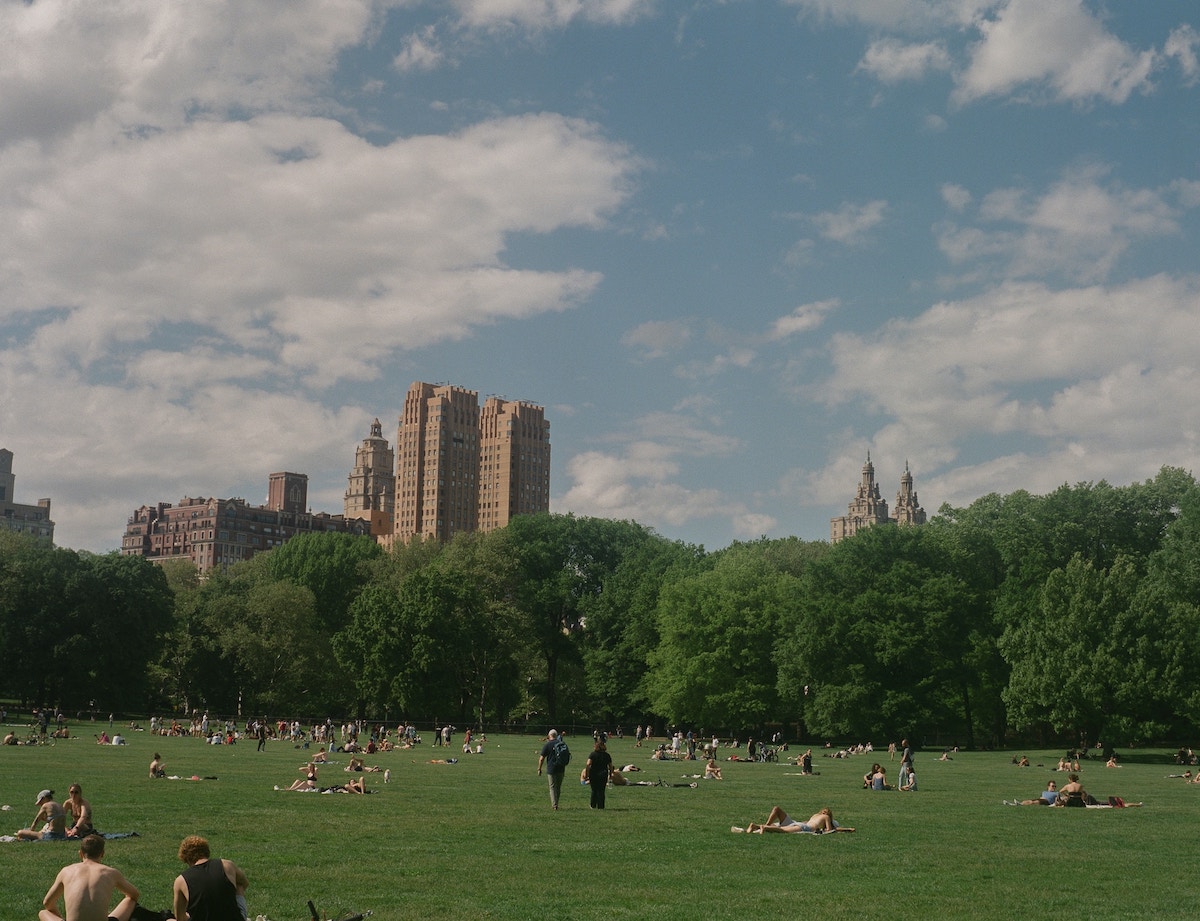 People sunbathing in Sheep Meadow, Central Park