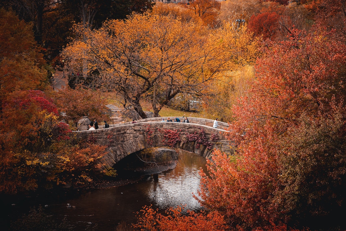 Gapstow Bridge, Central Park