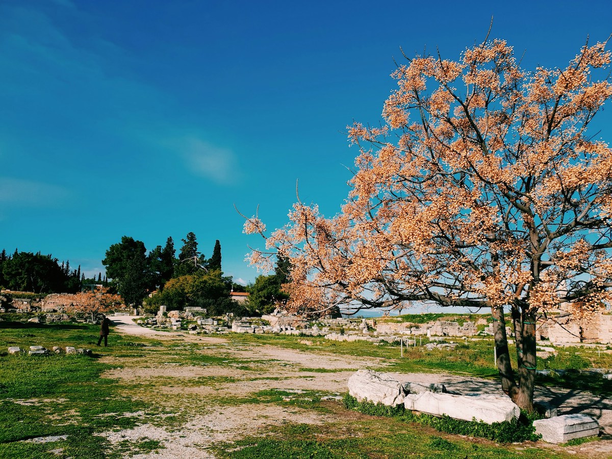 Day trip from Athens to Corinth with nature