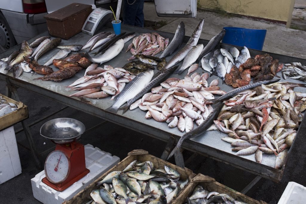 seafood at a market