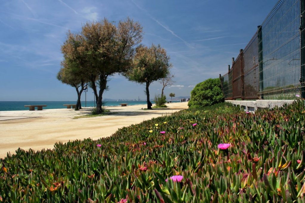 best beaches to visit near barcelona