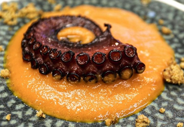 A grilled octopus tentacle rests on a dark plate with orange sauce and breadcrumbs