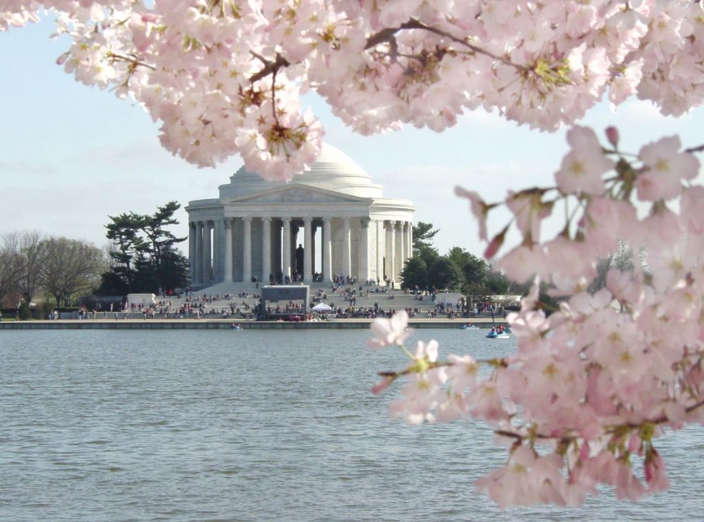 Pink cherry blossoms surround the Jefferson Memorial on the Tidal Basin in Washington, D.C., while people enjoy the spring scenery.