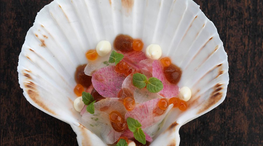 A scallop shell holds elegantly plated sashimi with orange roe, microgreens, and sauces, presented on dark wood in Edinburgh.