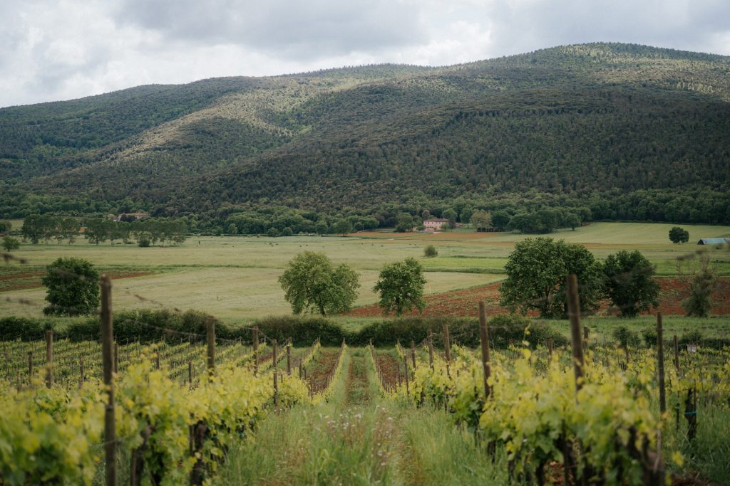 Grapevines in an Italian vineyard near Rome extend toward a distant farmhouse, surrounded by trees, fields, and hills under clouds.