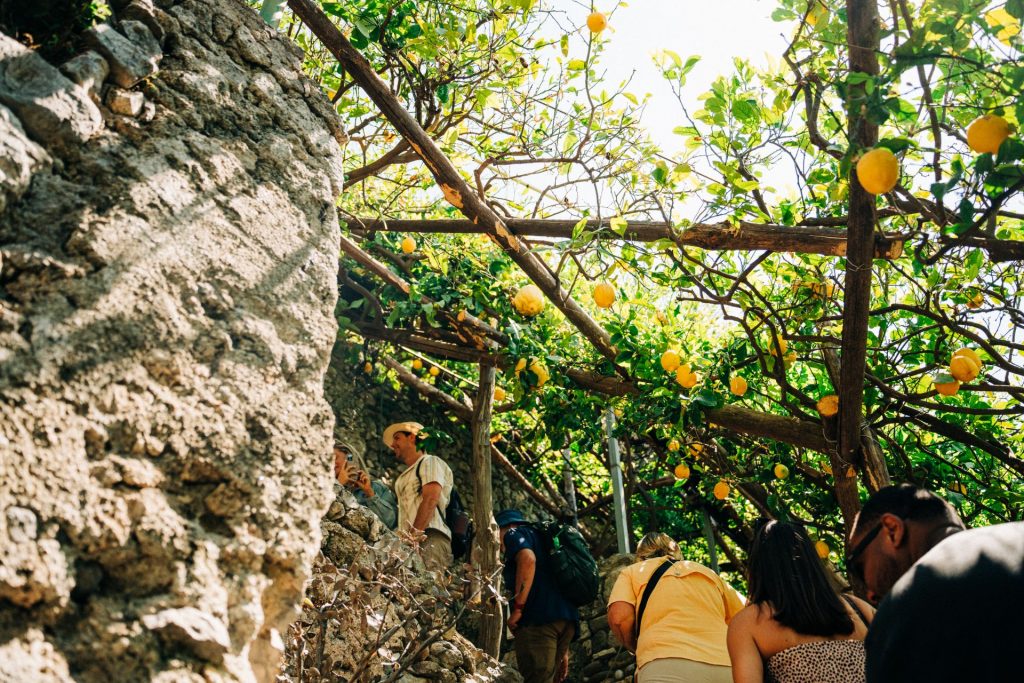Tourists climb stone steps beneath a wooden pergola with vibrant lemon trees and sunlight streaming through, at one of the nearby towns you can enjoy on an overnight trip from Rome.